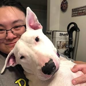 Meet your Posher, Lei